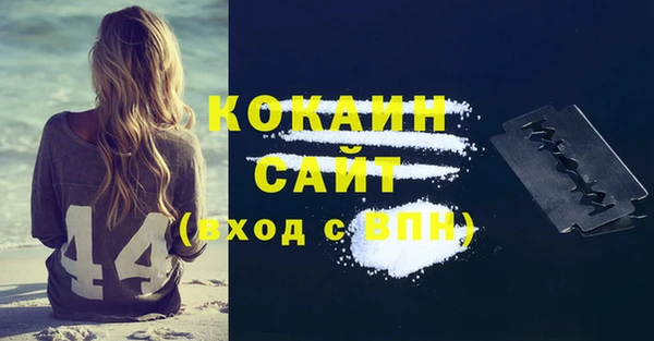шишки Армянск