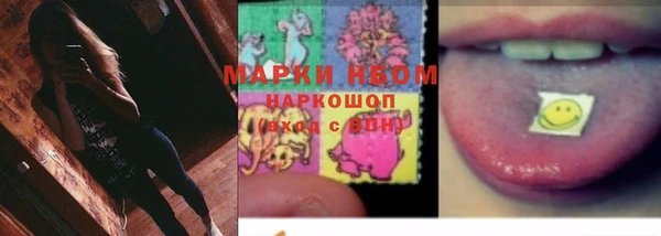 СК Аркадак