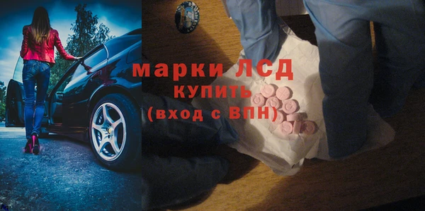 шишки Армянск