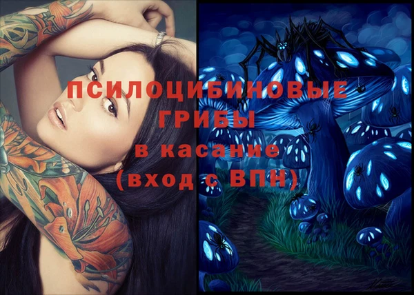СК Аркадак